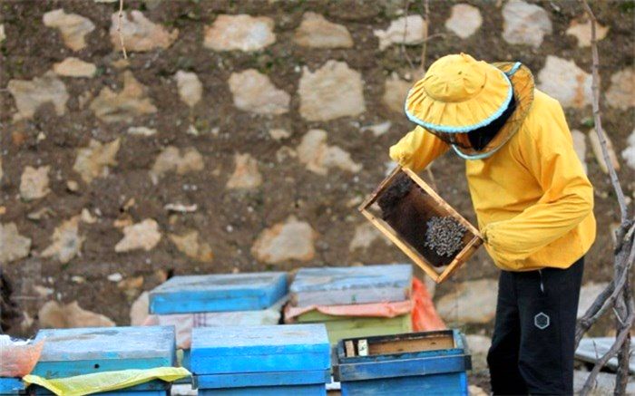 راه‌اندازی 13 هزار شغل برکت برای خانواده شهدا و ایثارگران