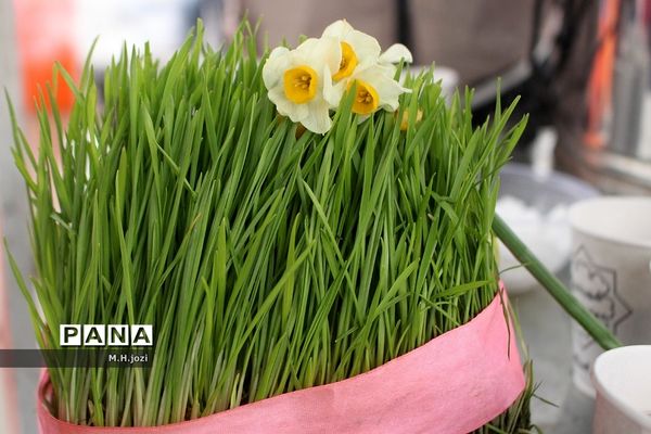 جشن نیمه شعبان در مسجد جمکران