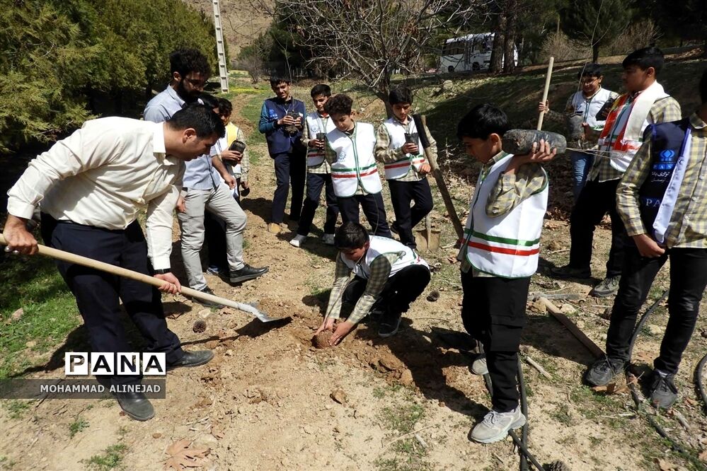 رکورد کاشت همزمان ۱۰۰ هزار درخت در دنیا شکسته شد