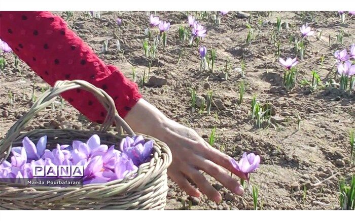 حجم تجارت محصولات کشاورزی از 20 میلیارد دلار گذشت
