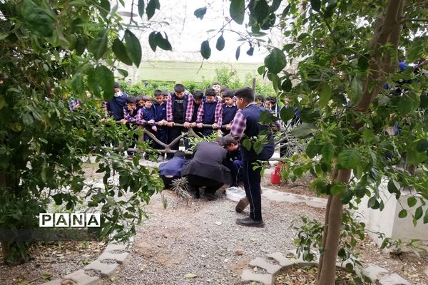 کاشت نهال به یاد شهید متوسلیان در دبستان سید الشهدا ناحیه یک یزد