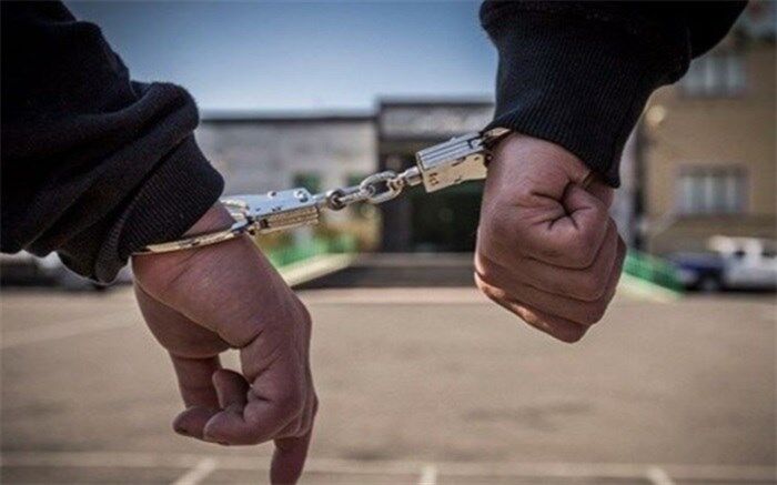 دستگیری ۲۵ هزار سارق در کشور