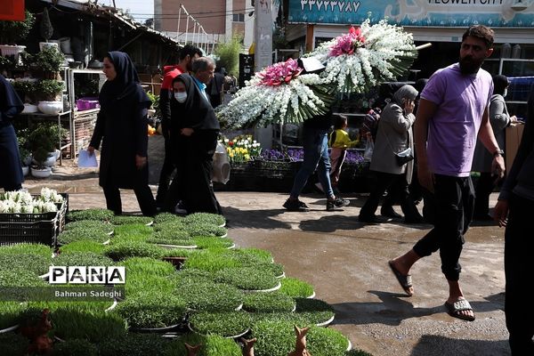 بازار بهاری گل و گیاه در آستانه نوروز