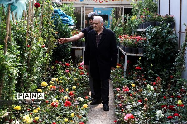 بازار بهاری گل و گیاه در آستانه نوروز