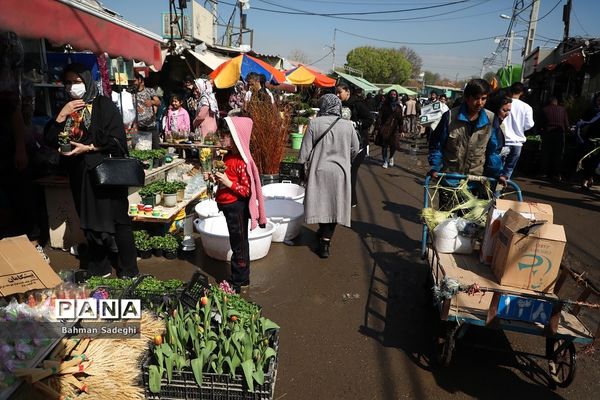 بازار بهاری گل و گیاه در آستانه نوروز