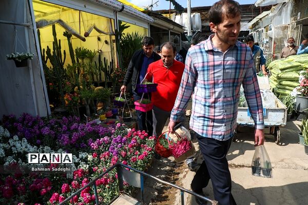 بازار بهاری گل و گیاه در آستانه نوروز