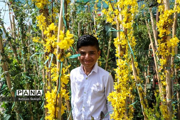 بازار بهاری گل و گیاه در آستانه نوروز