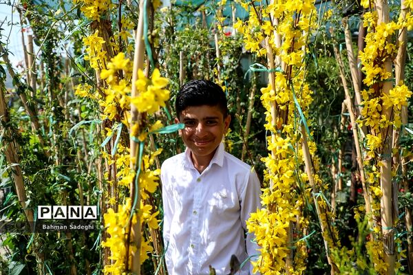 بازار بهاری گل و گیاه در آستانه نوروز