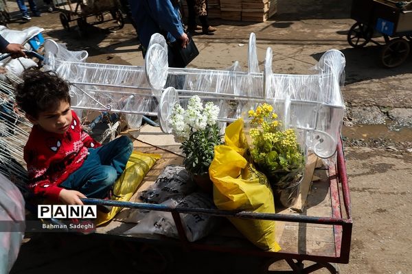 بازار بهاری گل و گیاه در آستانه نوروز