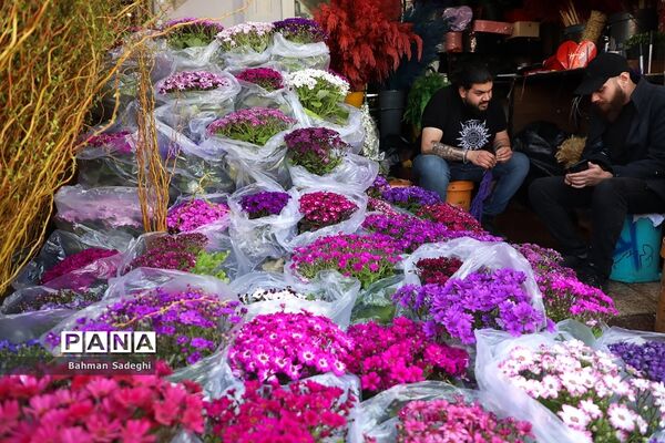 بازار بهاری گل و گیاه در آستانه نوروز