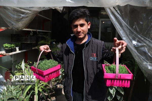 بازار بهاری گل و گیاه در آستانه نوروز