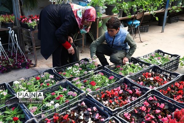 بازار بهاری گل و گیاه در آستانه نوروز