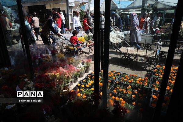بازار بهاری گل و گیاه در آستانه نوروز