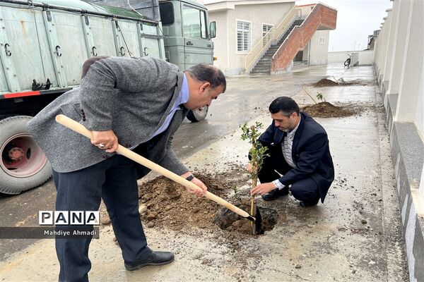 مراسم درختکاری در گلستان