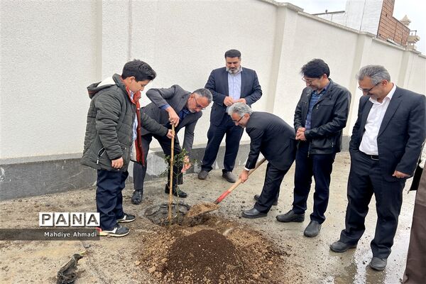 مراسم درختکاری در گلستان