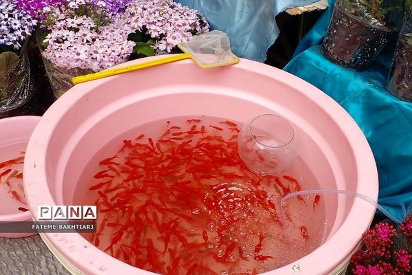 حال و هوای شب عید در بازار شهرری