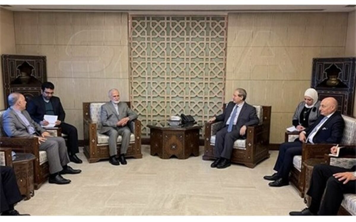 خرازی با وزیر خارجه سوریه دیدار کرد