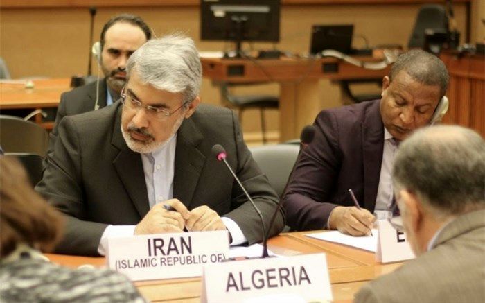 آزادی بیان نباید بهانه‌ای برای ترویج خشونت علیه مسلمانان شود