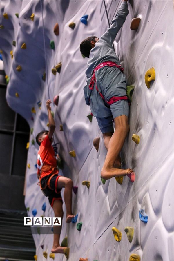 میهمانان ویژه امام رضا(ع)در دومین روز از سفرشان به بهشت