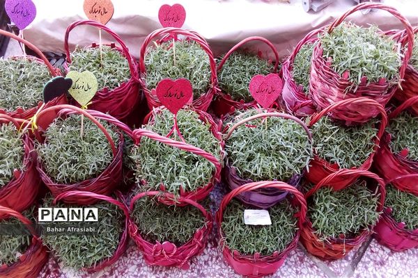 حال و هوای بهاری بازارهای شهرستان رباط‌کریم