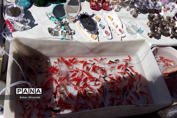 حال و هوای بهاری بازارهای شهرستان رباط‌کریم