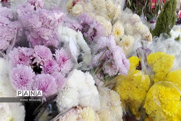 حال و هوای بهاری بازارهای شهرستان رباط‌کریم