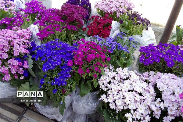 حال و هوای بهاری بازارهای شهرستان رباط‌کریم