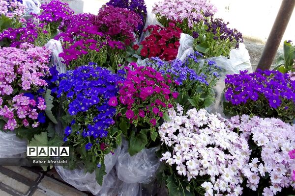 حال و هوای بهاری بازارهای شهرستان رباط‌کریم