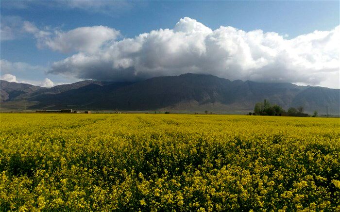 زیبایی‌های کم‌نظیر شهرفریدن/ فیلم