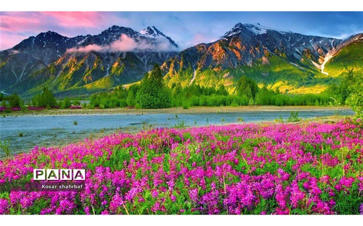 بهاری نو