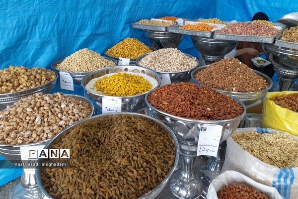 برگزاری نمایشگاه بهاره در ملارد
