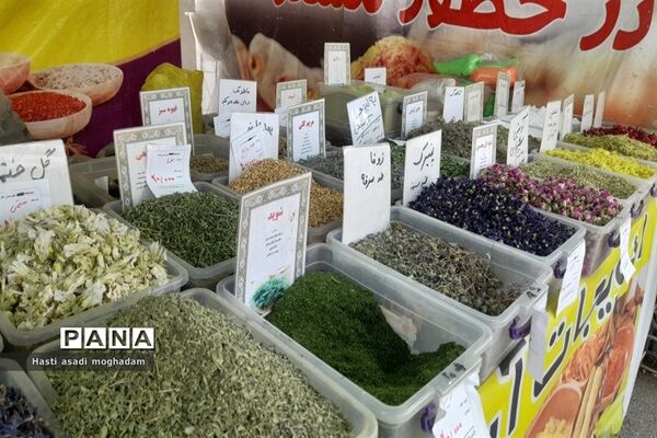 برگزاری نمایشگاه بهاره در ملارد