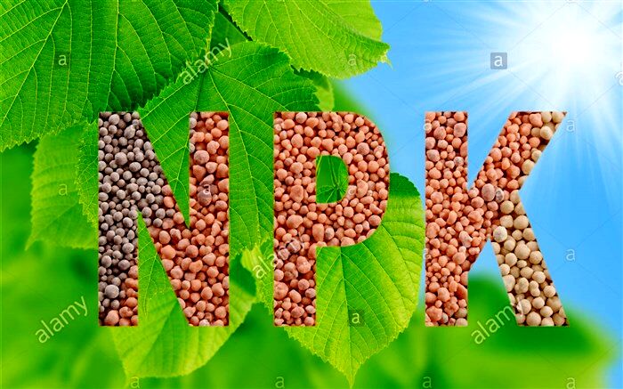 صدور بیش از 23 هزار فقره حواله الکترونیکی کود شیمیایی در استان قم