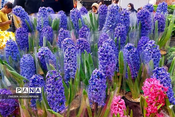 حال و هوای پایانی سال در بازار تجریش تهران