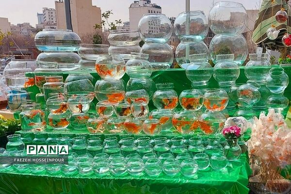 حال و هوای پایانی سال در بازار تجریش تهران
