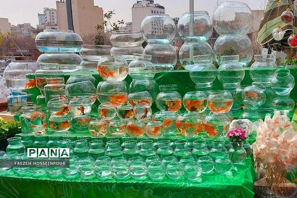 حال و هوای پایانی سال در بازار تجریش تهران
