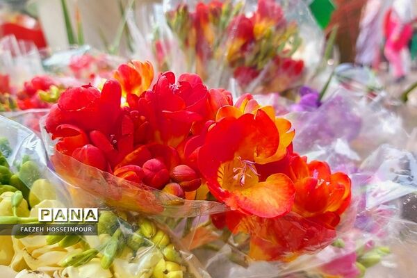 حال و هوای پایانی سال در بازار تجریش تهران