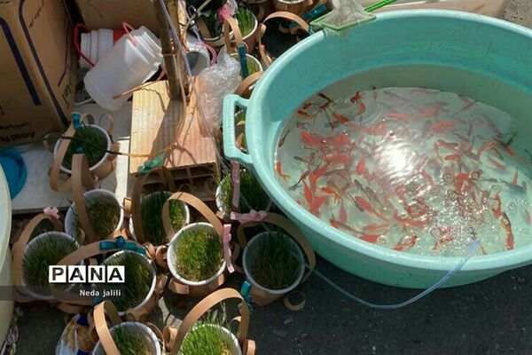 نمایشگاه بهاره شهرستان قرچک در روزهای پایانی سال