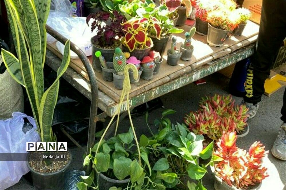 نمایشگاه بهاره شهرستان قرچک در روزهای پایانی سال