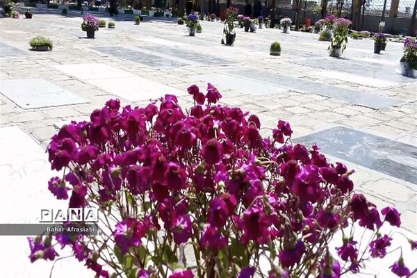 بازدید از آستان مقدس امام زاده عمادالدین در شهرستان رباط‌کریم