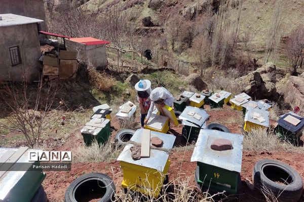 طالقان زیبا نگین سبز استان البرز