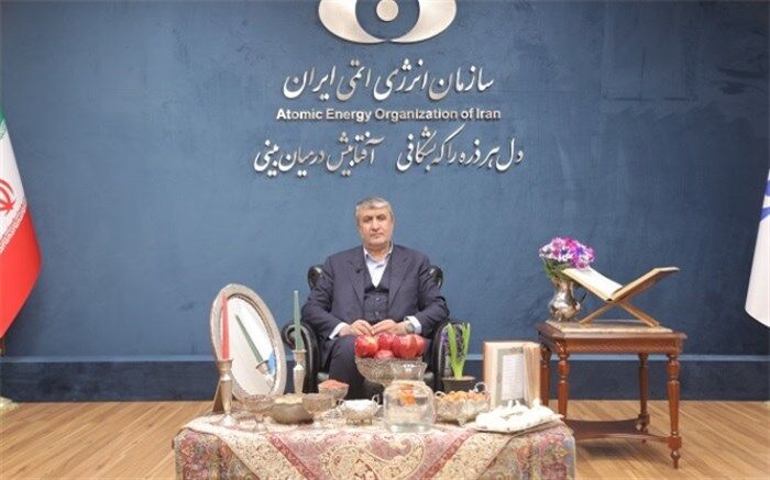 اسلامی: برای توسعه دستاوردهای فناوری صلح‌آمیز هسته‌ای تلاش می‌کنیم