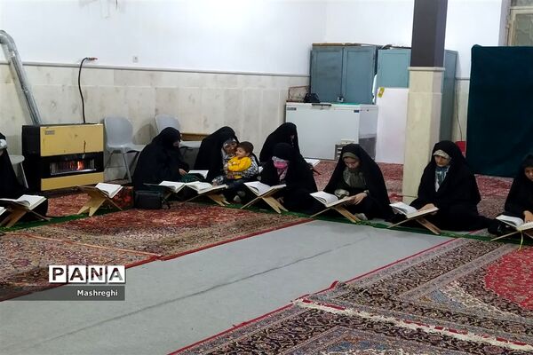 ویژه برنامه شب‌های ماه مبارک رمضان در کاشان