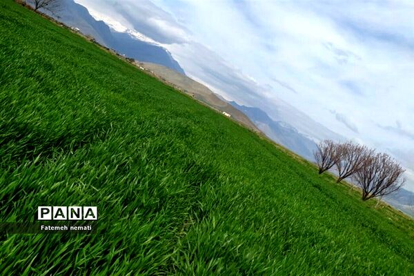 طبیعت زیبای بهاری روستای هندودر اراک