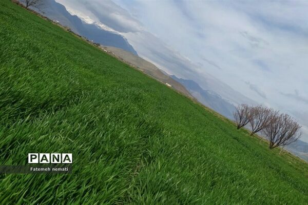 طبیعت زیبای بهاری روستای هندودر اراک