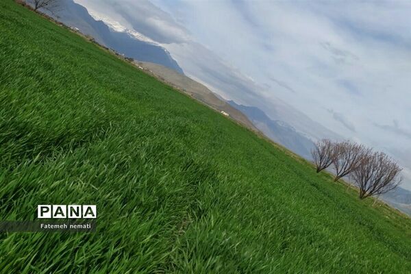 طبیعت زیبای بهاری روستای هندودر اراک