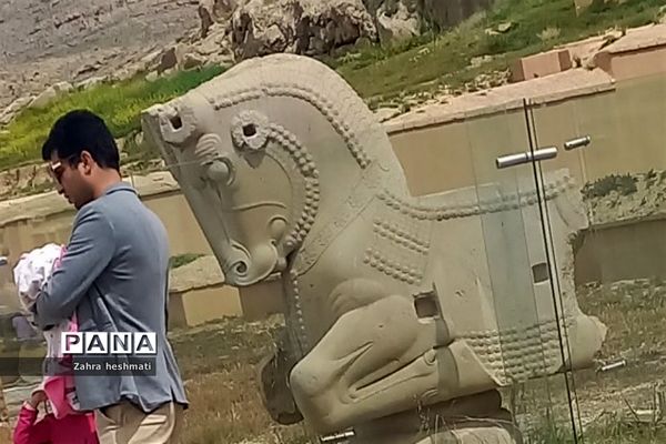 تخت جمشید شیراز؛ میراثی جهانی با شگفتی‌های بی‌پایان