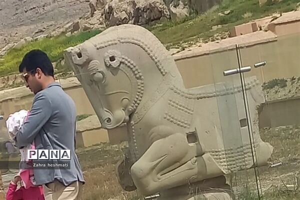 تخت جمشید شیراز؛ میراثی جهانی با شگفتی‌های بی‌پایان