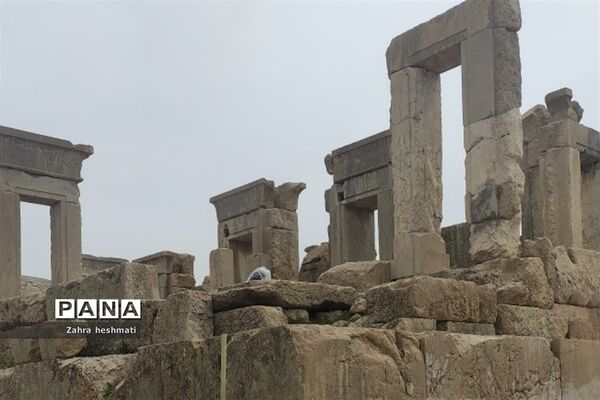 تخت جمشید شیراز؛ میراثی جهانی با شگفتی‌های بی‌پایان