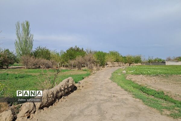 طبیعت زیبای روستای باغِ آسیا در شهرستان گناباد